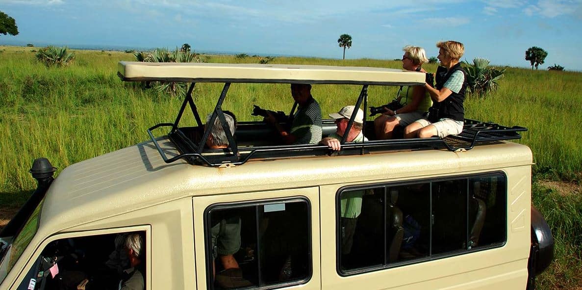 game drive
